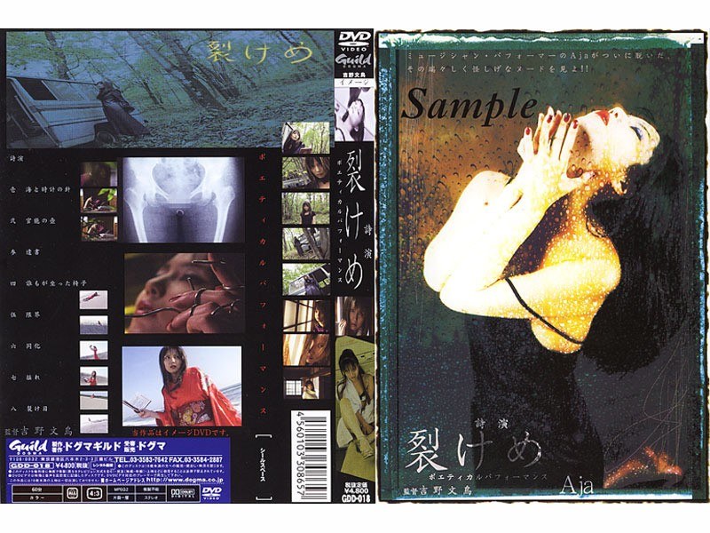 詩演 裂けめ ポエティカルパフォーマンス Aja