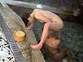 盗撮-混浴温泉- 6 画像17