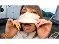 サンプル画像