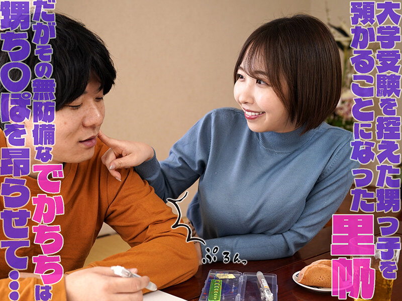 サンプル-憧れの爆乳叔母の着衣おっぱい探検～卑猥に膨らんだセーターの内側に顔を埋め続けた記憶～ 宍戸里帆