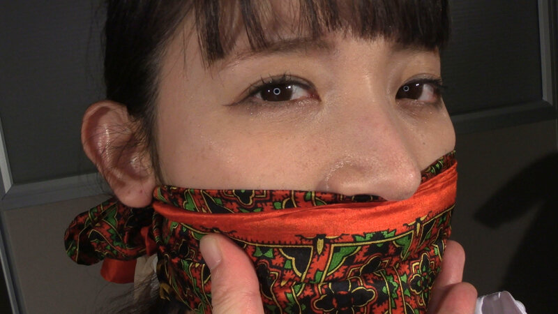 囚われの緊縛令嬢 DIDコレクション3 画像18