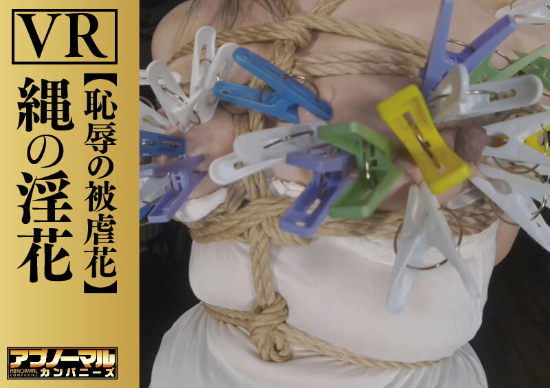 ACZVR-001 第 17 部分 - 78 分钟