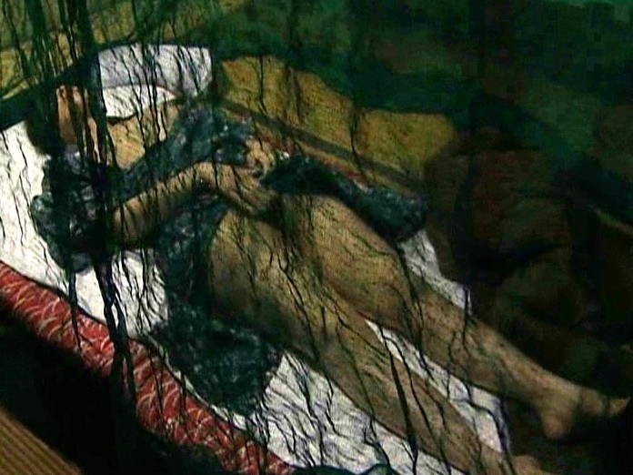 FAX-177 パート 17 - 142 分