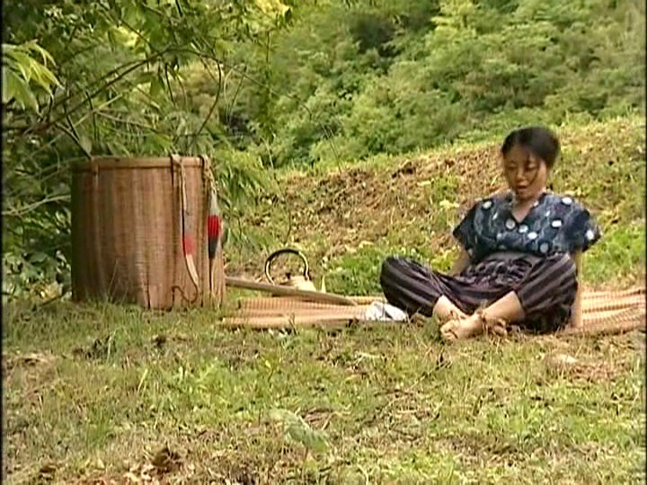 FAX-219 第 2 部分 - 35 分钟