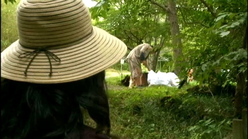 FAX-423 第 8 部分 - 65 分钟