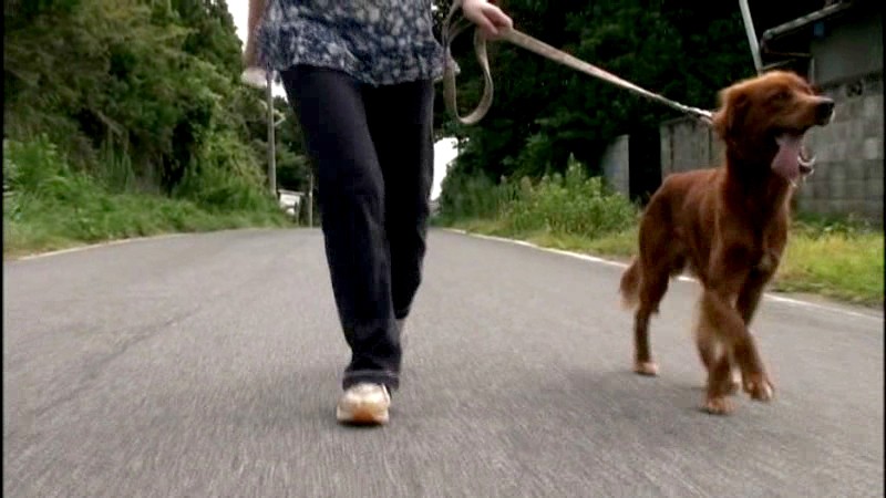 FAX-439 Part 1 - 30 minutes