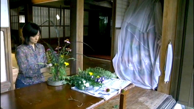 FAX-481 第 1 部分 - 30 分钟