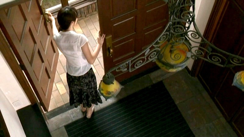 FAX-483 パート 1 - 30 分