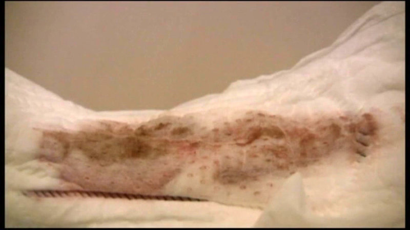 SPYE-076 パート 15 - 86 分