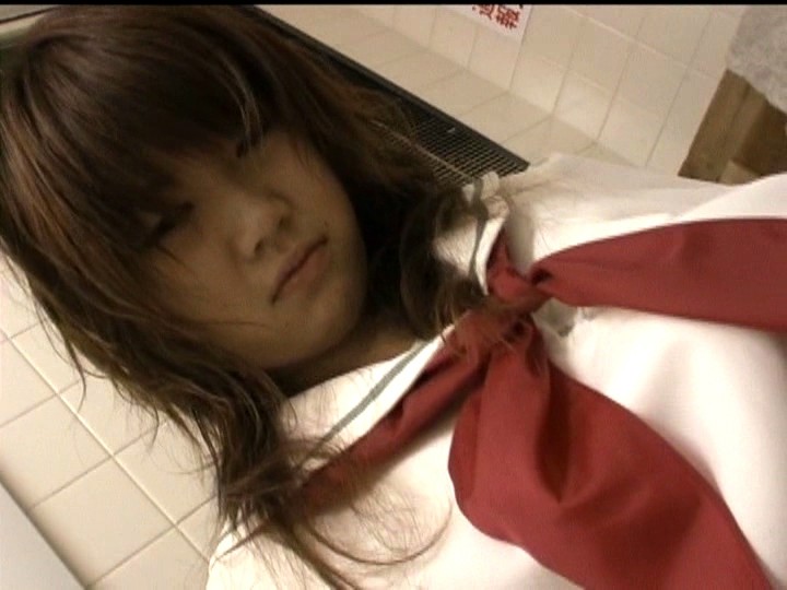 GS-333 第 8 部分 - 51 分钟