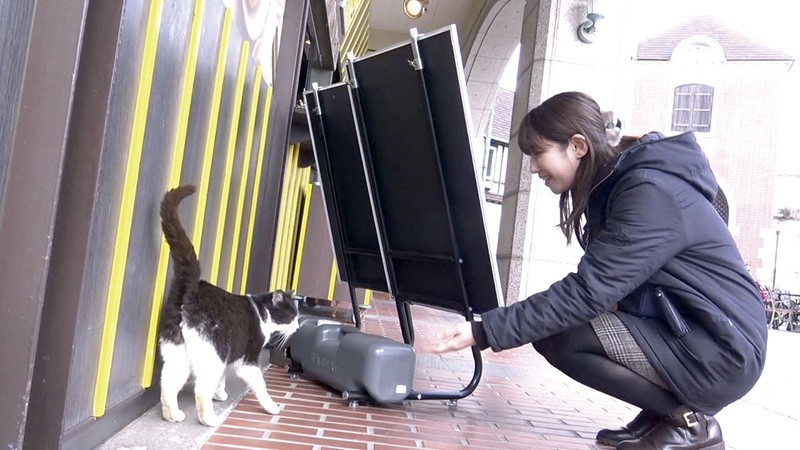 GS-01939 パート 1 - 30 分