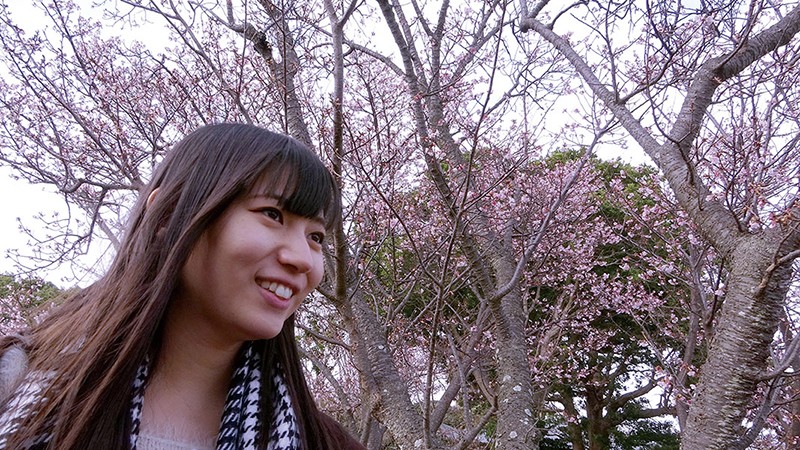 GS-2019 第 1 部分 - 30 分钟