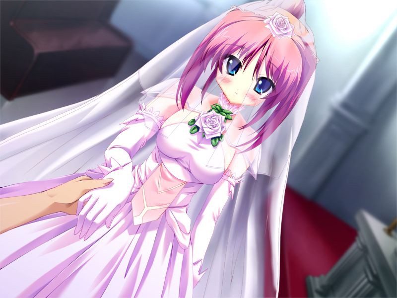 お嫁さん候補があらわれた!コマンドは? (DVDPG) 画像4