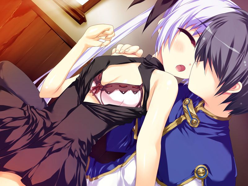 WALPURGIS (DVDPG) 画像3