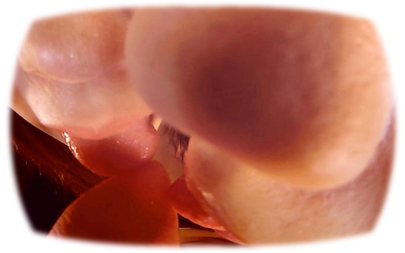 CAFR-157 パート 2 - 34 分