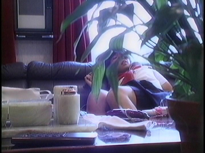 RD-831 第 12 部分 - 195 分钟