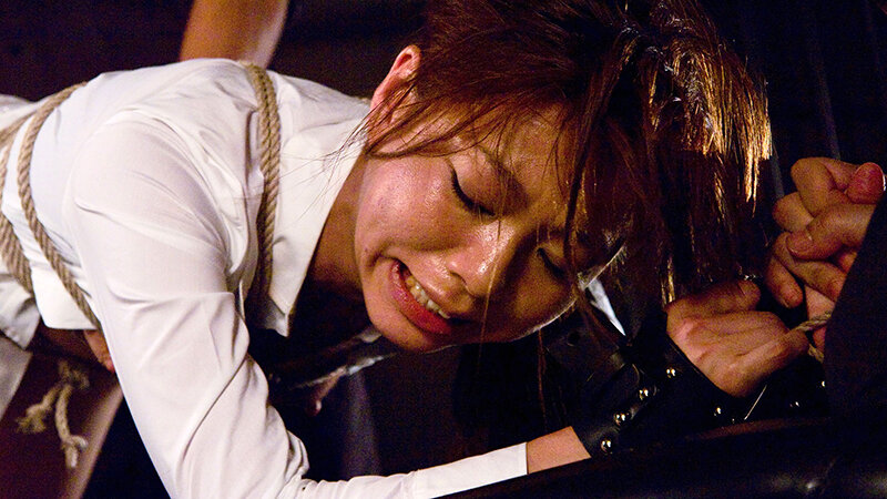 四つん這いにされて 奥の奥まで責められて 発狂しながらイク女 屈辱の後背晒しイキ 激アツ総集編 SUPERLATIVE ECSTASY FILE sample 19