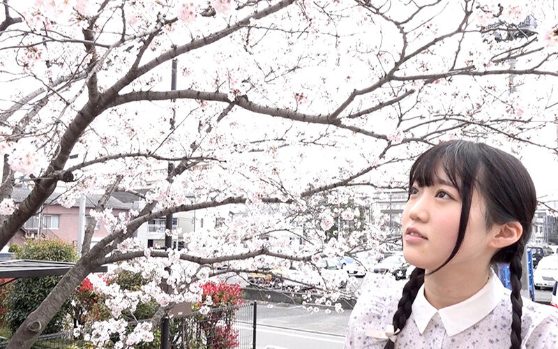 SLN-001 第 1 部分 - 30 分钟