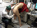 サンプル画像