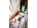 素人四畳半生中出し 170 若妻マキ 神田川人妻ポルノ劇場 - FANZA版サンプル画像