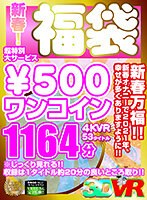 【VR】新春！超特別大サービス￥500ワンコイン福袋4KVR 53タイトル1164分 神宮寺ナオ 桐谷なお 美谷朱里 瞳リョウ 優梨まいな