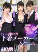 (h_1290dovr00081)[DOVR-081][VR] Are You A Fresh Face?? Could You Please Check To See How My Lingerie Fits!? I Got A Job At A Slightly Unusual Lingerie Company... The Big Tits President: An Mashiro The Slut Department Chief: Hina Nanase And My Maso Colleague: Tsugumi Mizusawa Download