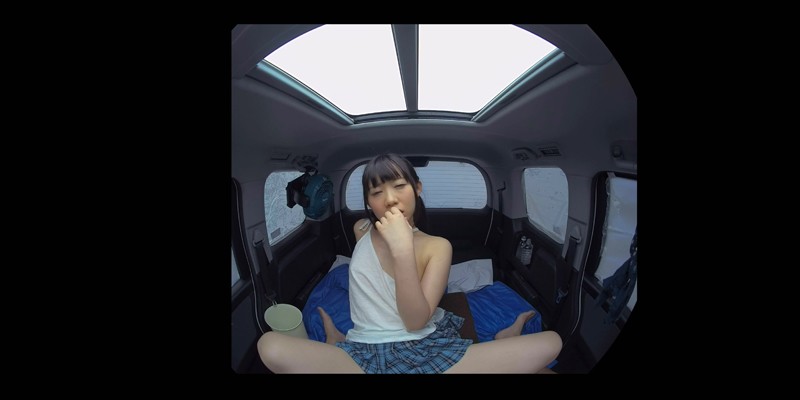 WVR-900004 第 2 部分 - 35 分钟