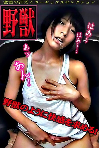 WVR-900012 第 10 部分 - 75 分钟