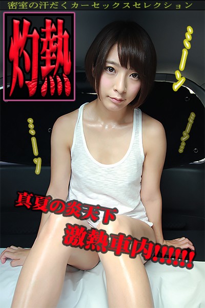 WVR-900012 第 9 部分 - 70 分钟