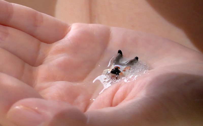 AD-089 Part 12 - 30 minutes