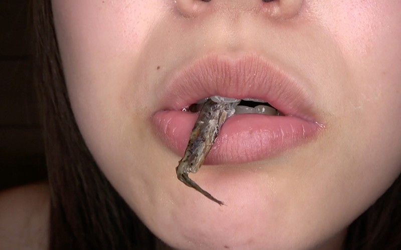 AD-434 Bagian 13 - 30 minit