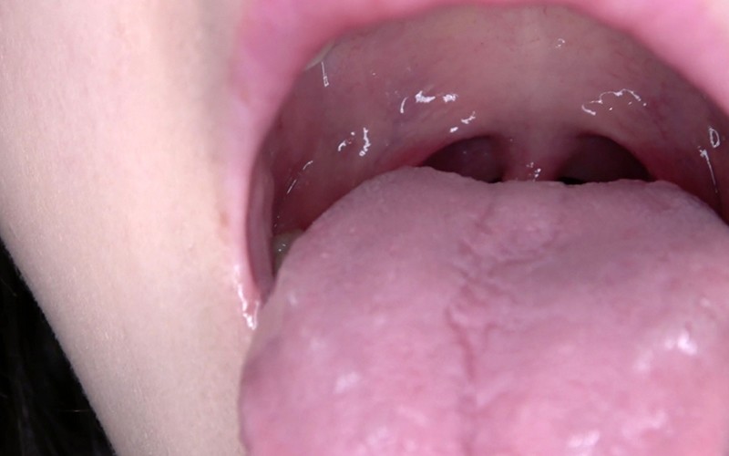 AD-558 第 16 部分 - 30 分钟