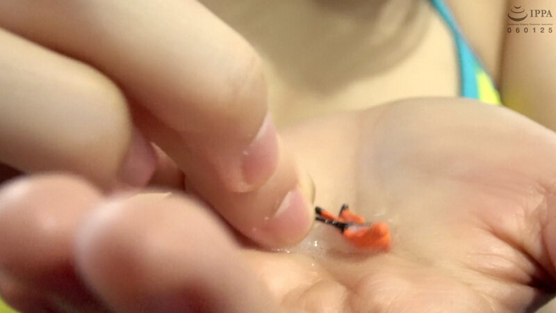 AD-784 第 11 部分 - 30 分钟