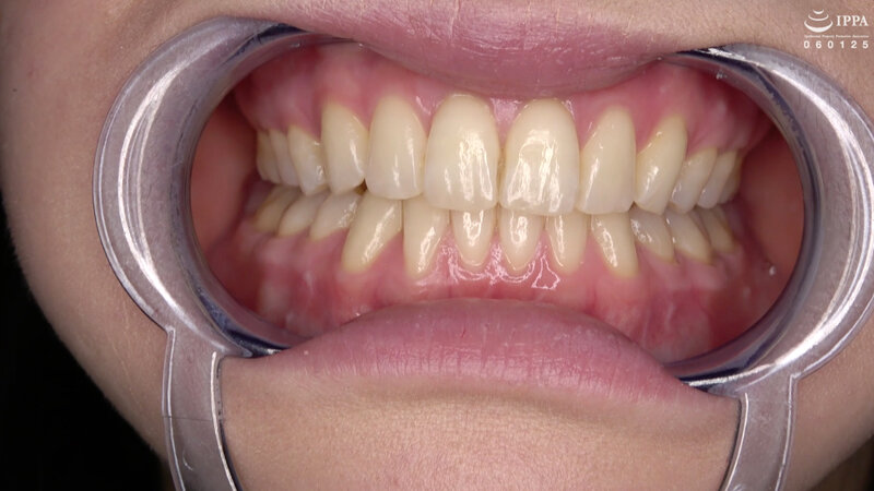 AD-01411 第 8 部分 - 30 分钟