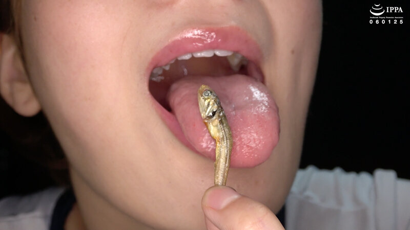 AD-01638 第 4 部分 - 33 分钟