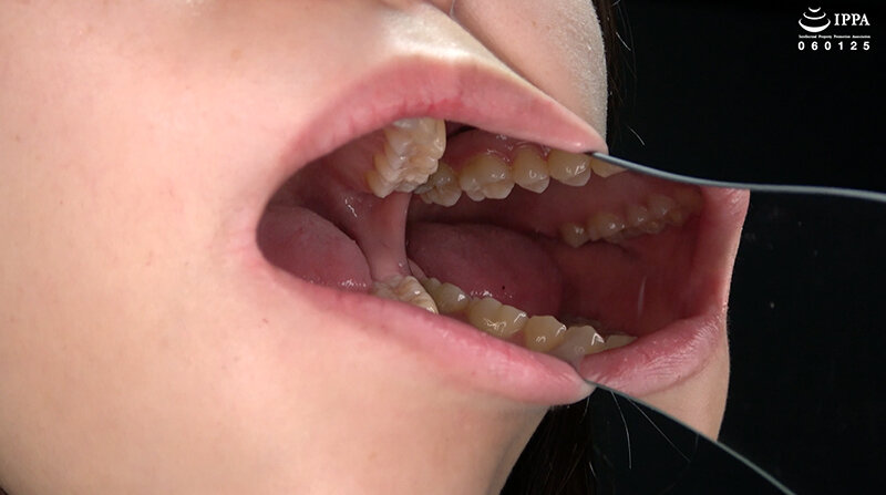 AD-01665 Part 13 - 30 minutes