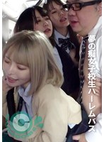 夢の痴女子校生ハーレムバス サムネイル小