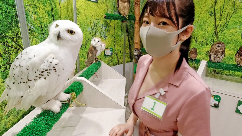 INSTV-195 第 1 部分 - 30 分钟