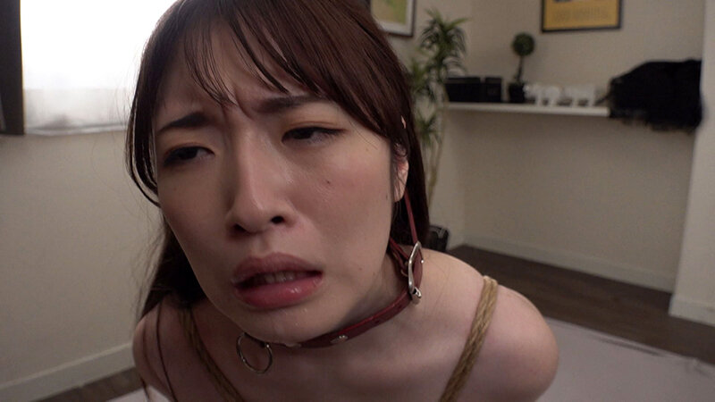 ZZZA-01002 第 2 部分 - 31 分钟