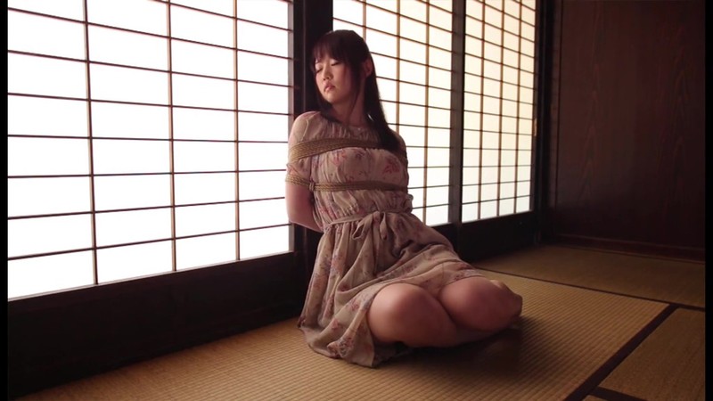 MYB-004 パート 1 - 30 分