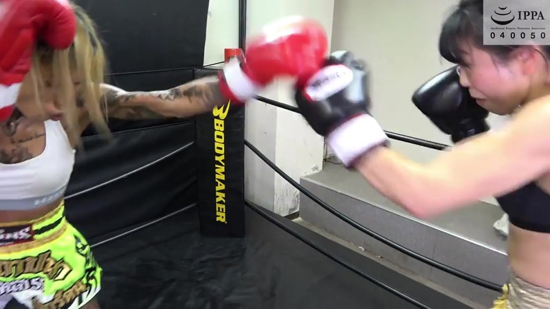 FS-023 第 17 部分 - 46 分钟