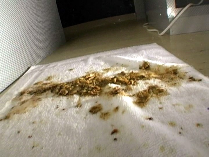 VRXS-002 Bagian 5 - 50 minit