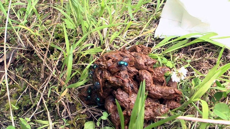 VRXS-035 パート 9 - 110 分