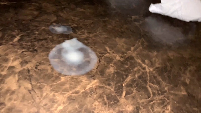 KAMICH-001 Bagian 19 - 66 minit