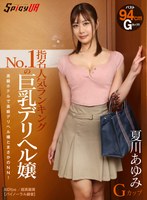 【VR】指名人気ランキングNo.1の巨乳デリヘル嬢 夏川あゆみ Gカップ