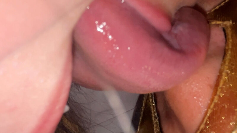 HNF-0200005 第 17 部分 - 30 分钟