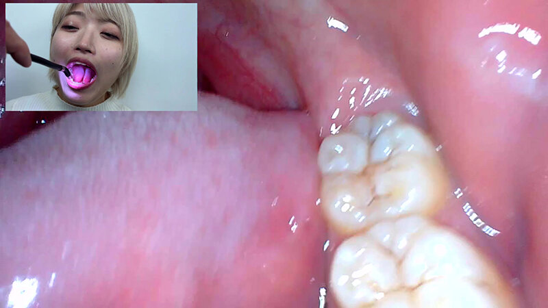 NKO-005 Bagian 19 - 66 minit