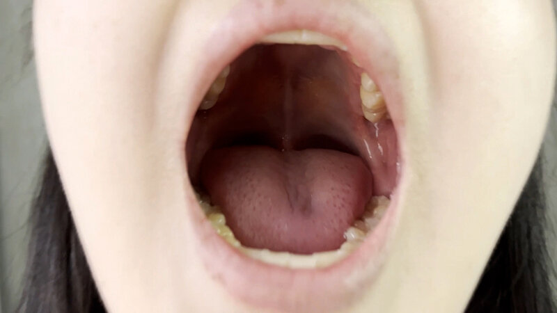 NKO-0300002 Part 5 - 30 minutes
