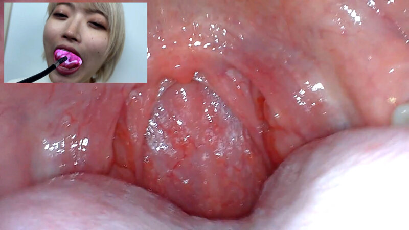 NKO-0500001 第 16 部分 - 30 分钟