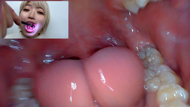 NKO-0500001 第 18 部分 - 30 分钟